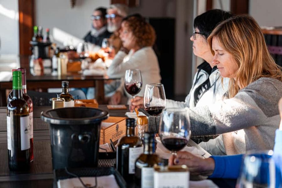Douro Valley Tour: Visit 2 Wineries, Lunch & River Cruise - Pinhão and the Douro River from the water