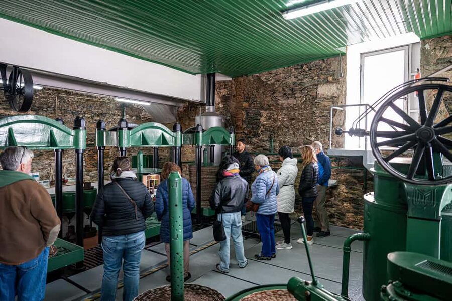 Douro Valley Tour: Visit 2 Wineries, Lunch & River Cruise - Viewpoints, the N222, and the scenic ride home