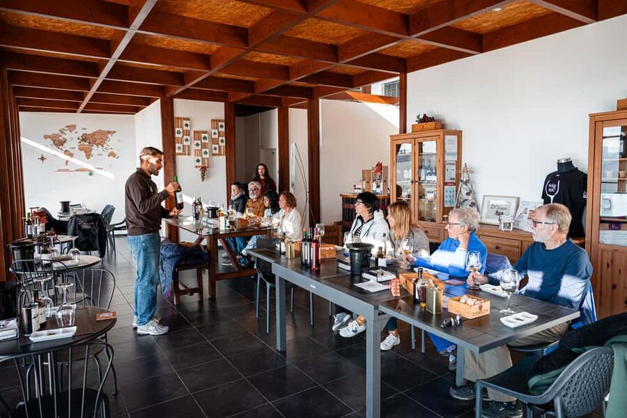 Douro Valley Tour: Visit 2 Wineries, Lunch & River Cruise - Is $116 good value?