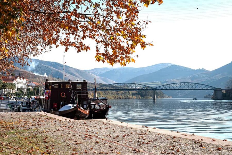 Douro Valley Tour: Visit 2 Wineries, Lunch & River Cruise - Comfortable transport, but expect a long day on the road