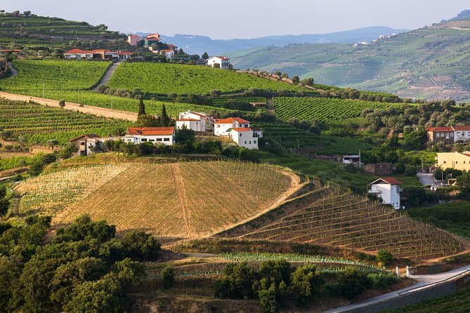 Douro Valley Tour: Wine Tasting, Cruise and Lunch from Porto - Two Port tastings, with changing winery stops