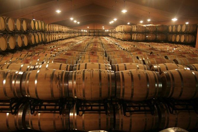 Douro Valley Tour: Wine Tasting, Cruise and Lunch from Porto - Starting at Lapa Church in Porto