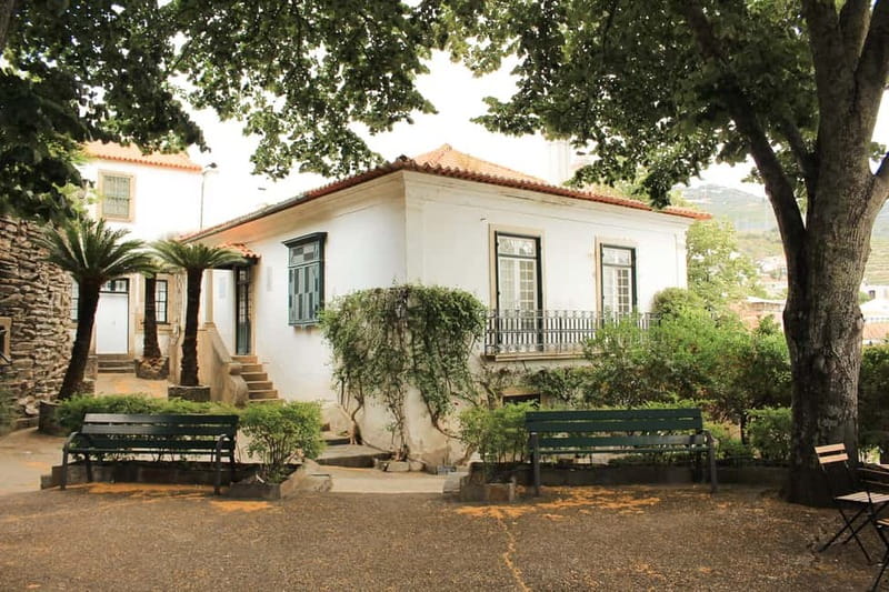 Douro Valley: Tour with Wine Tastings, Lunch, and Boat Ride - Who will enjoy this tour most