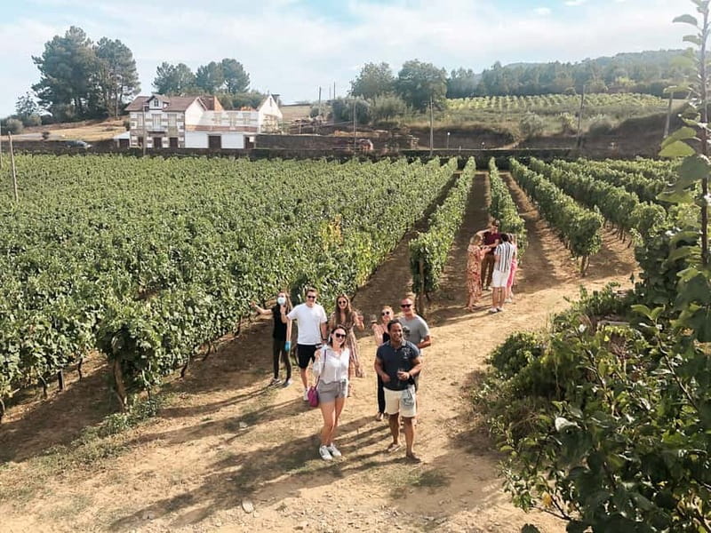 Douro Valley: Tour with Wine Tastings, Lunch, and Boat Ride - First winery: Port, cheese, and the story in the bottle