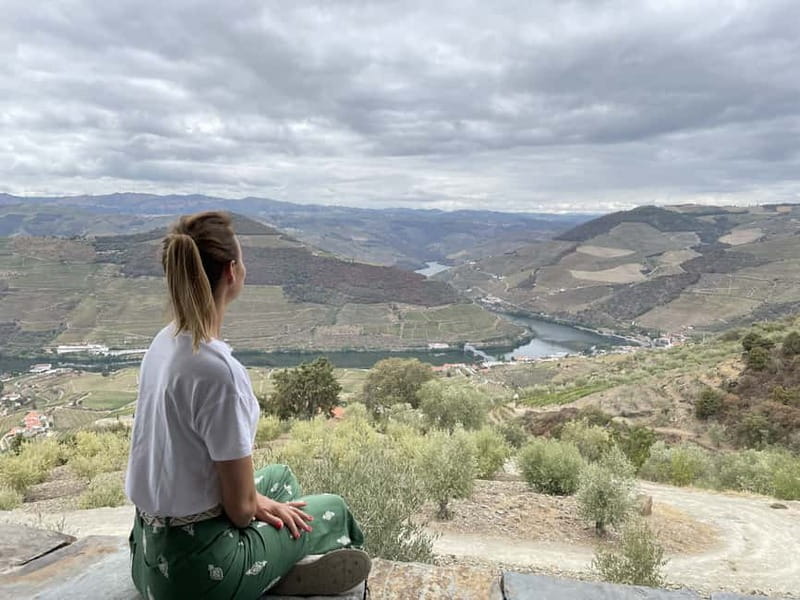 Douro Valley: Tour with Wine Tastings, Lunch, and Boat Ride - Lunch at a typical Portuguese restaurant
