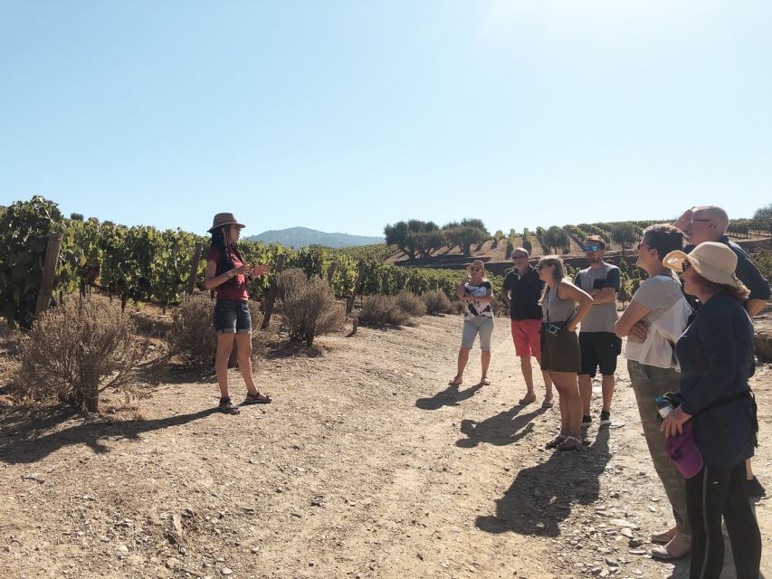 Douro Valley: Tour with Wine Tastings, Lunch, and Boat Ride - The return road to Porto