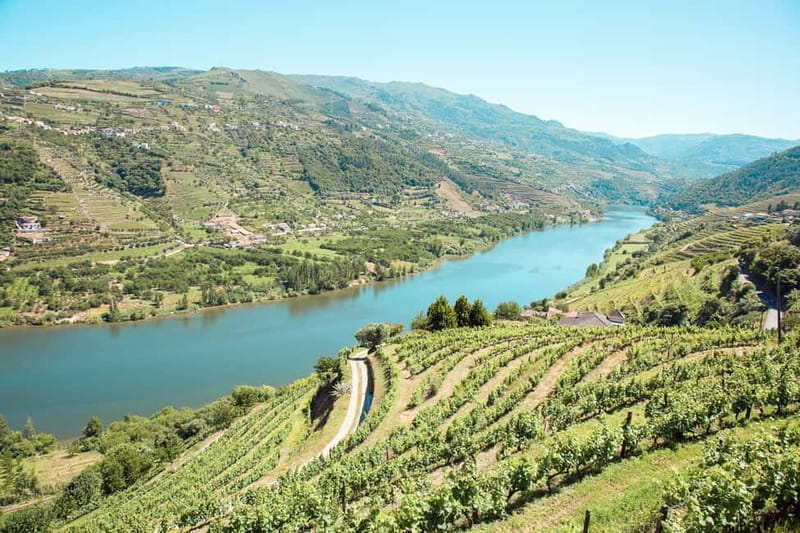 Douro Valley: Tour with Wine Tastings, Lunch, and Boat Ride - The morning drive into the Douro