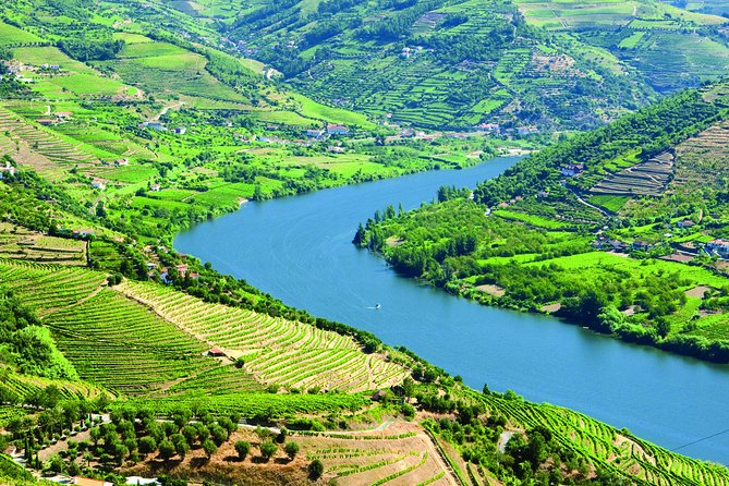 Douro Valley with Two Winery, Boat Trip and Lunch From Porto - Why this Douro day trip works from Porto