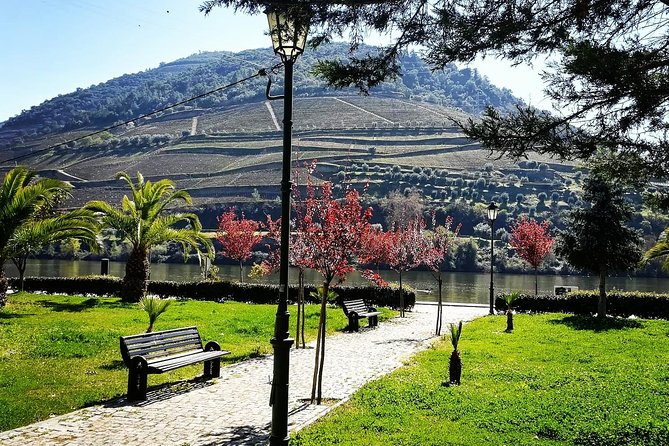 Douro Valley with Two Winery, Boat Trip and Lunch From Porto - First wine stop: Port traditions in the Douro