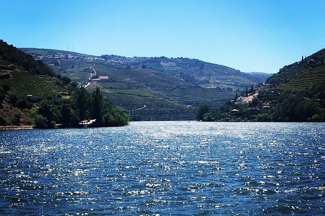Douro Valley with Two Winery, Boat Trip and Lunch From Porto - Scenic stops and the return journey