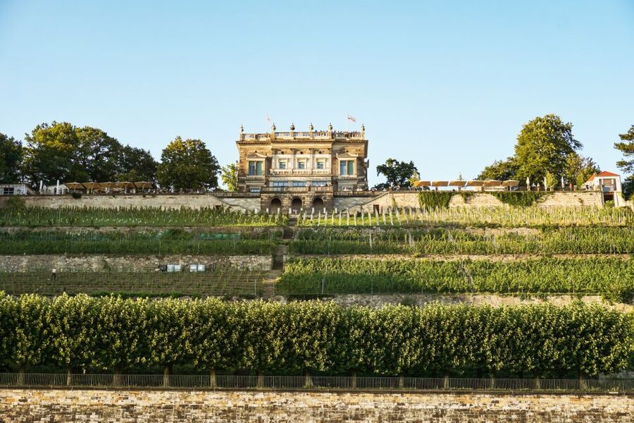 Dresden: Elbe River Cruise to Pillnitz Castle - Price, access, and who should book