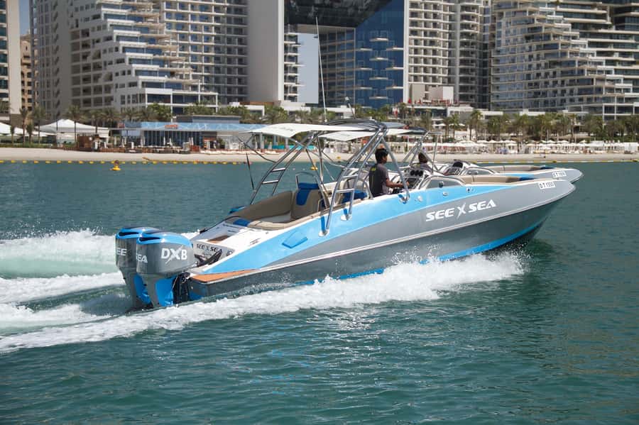 Dubai: Marina Private Boat Tour & Palm Jumeirah Sightseeing - The essential details at a glance