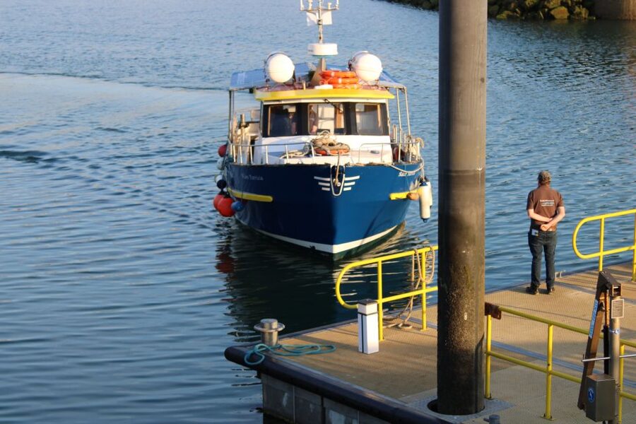 Dublin: Howth Cliffs and Lighthouse Cruise - Meeting the boat at Howth’s West Pier