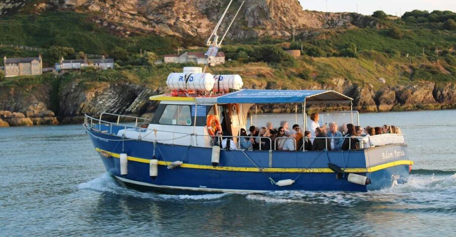 Dublin: Howth Cliffs and Lighthouse Cruise - Who will enjoy this Howth boat tour?