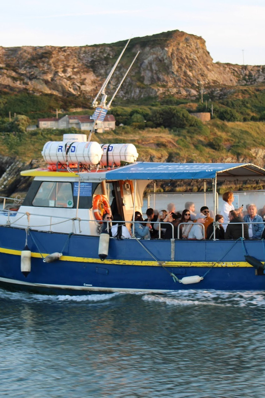 Dublin: Howth Coast and Ireland's Eye Boat Tour - Quick take: what makes this boat trip worthwhile