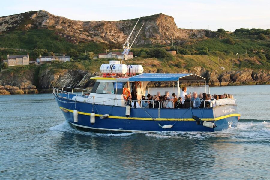 Dublin: Howth Coast and Ireland's Eye Boat Tour - Booking and practical tips