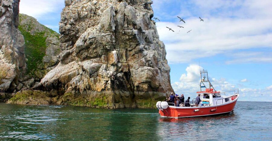 Dublin: Howth Coastal Boat Tour - How to build a day around the cruise