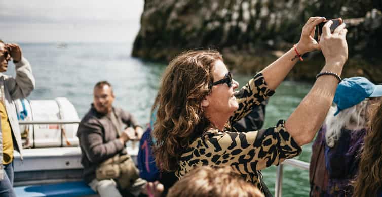Dublin: Howth Coastal Boat Tour - Why this short boat trip works so well