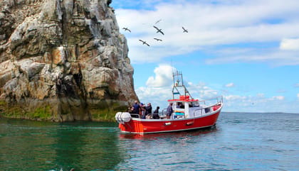 Dublin: Howth Coastal Boat Tour - Leaving Howth harbor for Dublin Bay