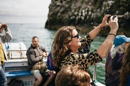 Dublin: Howth Coastal Boat Tour - Wildlife: what you might see