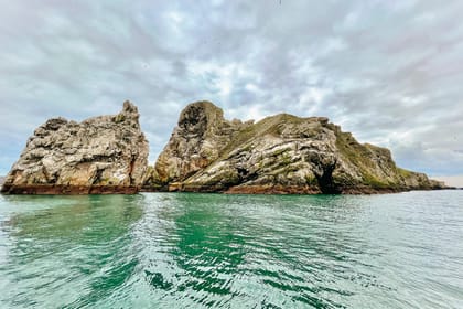Dublin: Howth Coastal Boat Tour - The Howth Cliffs from the water