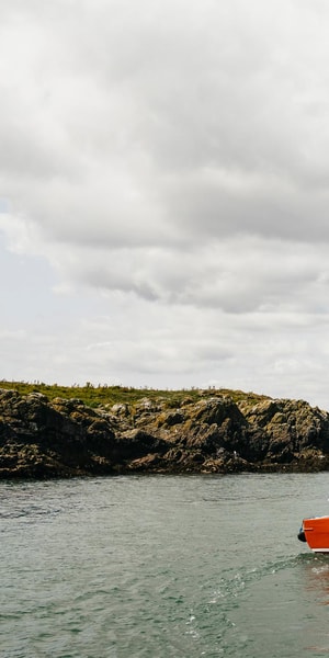 Dublin: Howth Coastal Boat Tour - Guide style and the value of live commentary