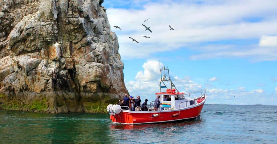 Dublin: Howth Coastal Boat Tour - Finding the boat on Howth’s West Pier