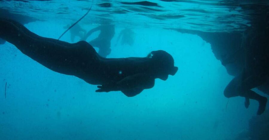 Dubrovnik: Blue Cave & Sunj Beach Boat Tour with Drinks - The essential details at a glance
