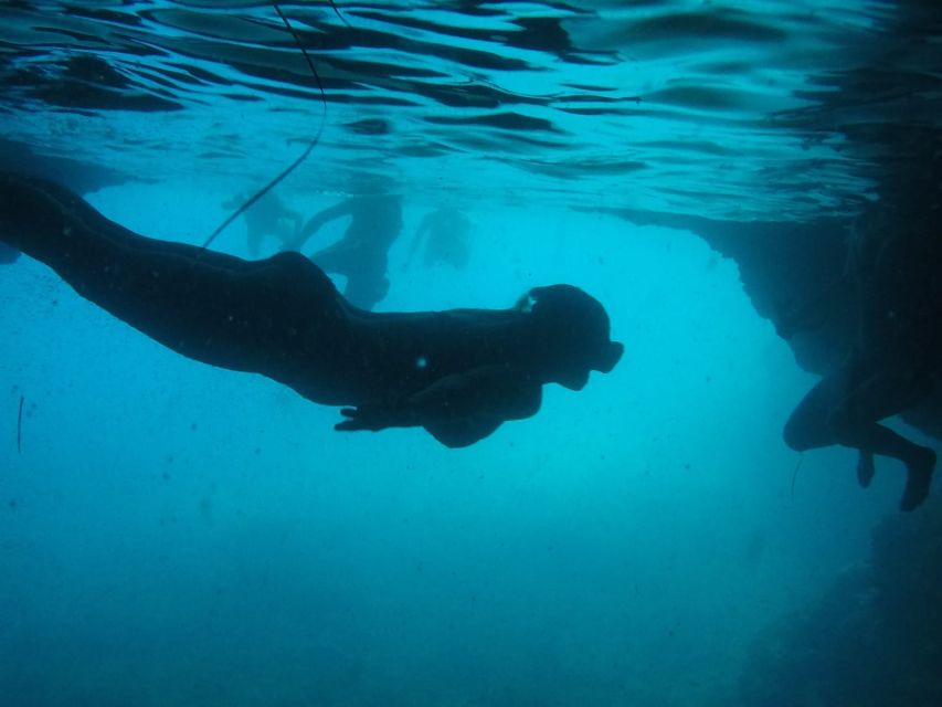 Dubrovnik: Blue Cave & Sunj Beach Boat Tour with Drinks - The Blue Cave on Koločep Island