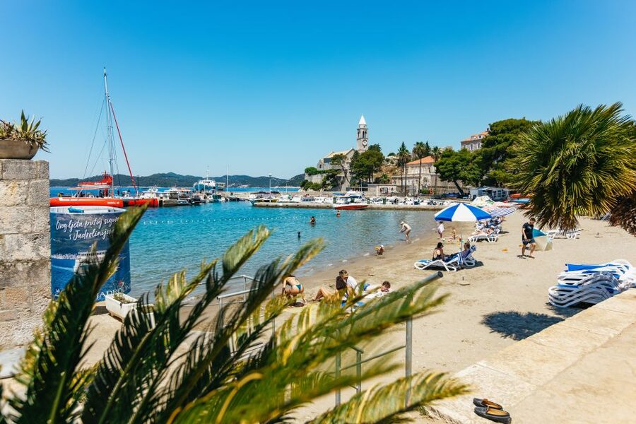 Dubrovnik: Elaphite Island Cruise w/ Drinks & Optional Lunch - Koločep: pine trees and a final swim