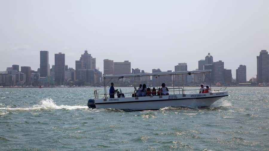 Durban: 1-Hour Boat Cruise from Wilson's Wharf - Key things to know before you go