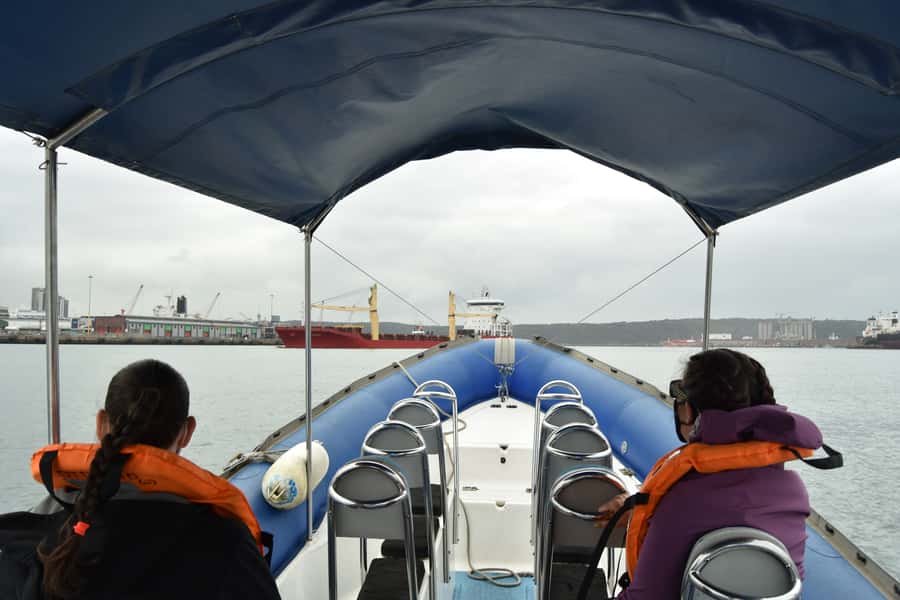Durban: 1-Hour Boat Cruise from Wilson's Wharf - Who will enjoy this cruise most?