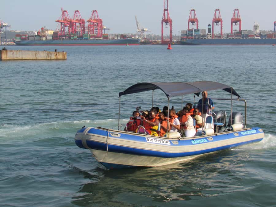 Durban: 1-Hour Boat Cruise from Wilson's Wharf - Harbor facts with a soundtrack