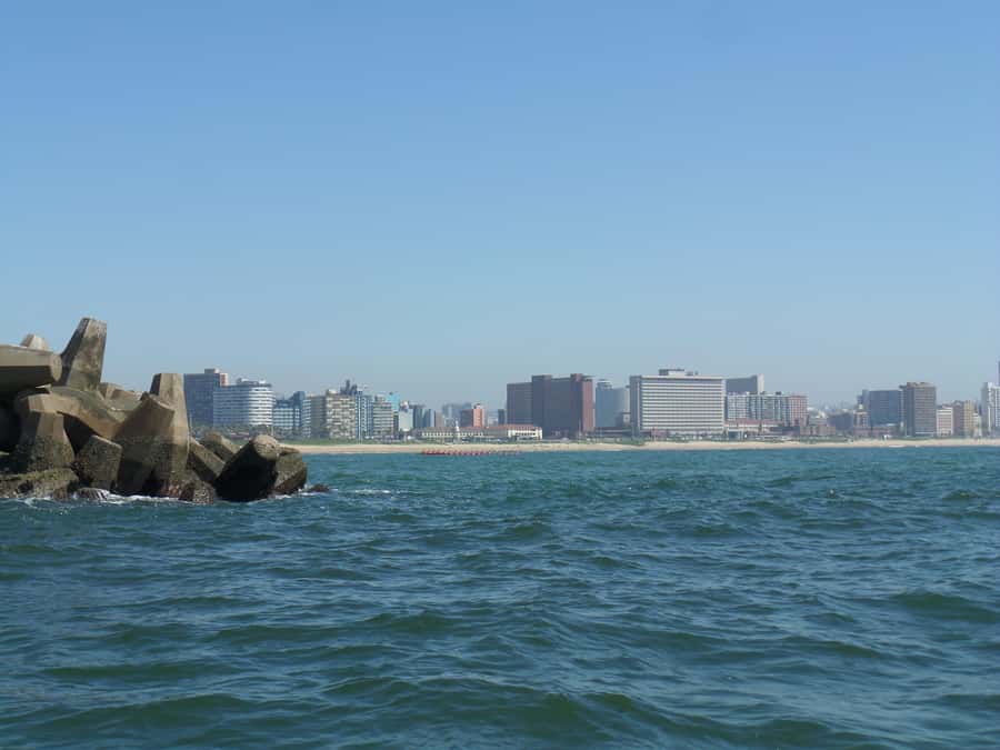 Durban: 1-Hour Boat Cruise from Wilson's Wharf - From port cranes to Durban’s beachfront