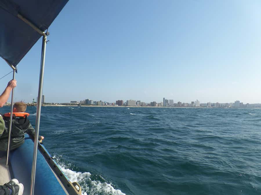 Durban: 1-Hour Boat Cruise from Wilson's Wharf - Ocean air, waves, and possible dolphin sightings