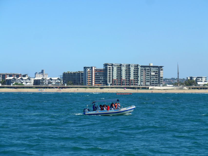 Durban: 1-Hour Boat Cruise from Wilson's Wharf - The return to Wilson’s Wharf