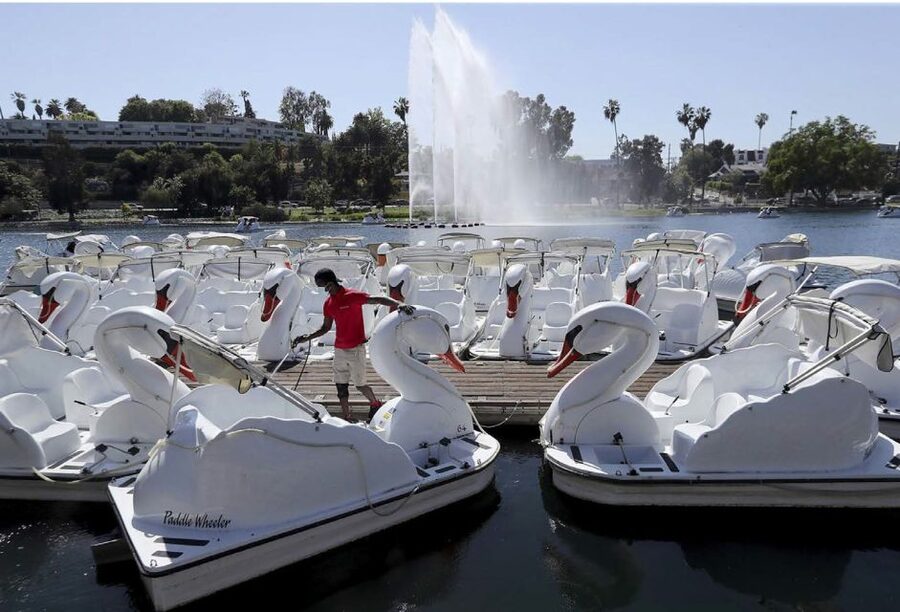 Echo Park Lake: Swan Pedal Boat Rental - Key points to know before booking