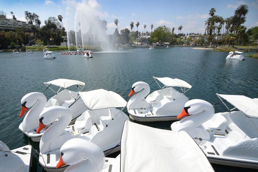 Echo Park Lake: Swan Pedal Boat Rental - Why this short boat ride works so well