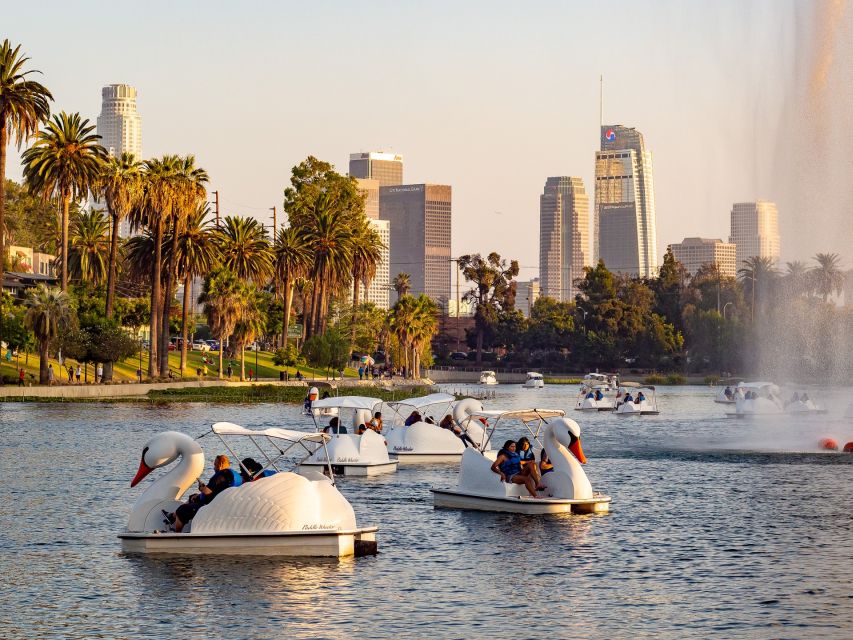Echo Park Lake: Swan Pedal Boat Rental - My practical booking advice