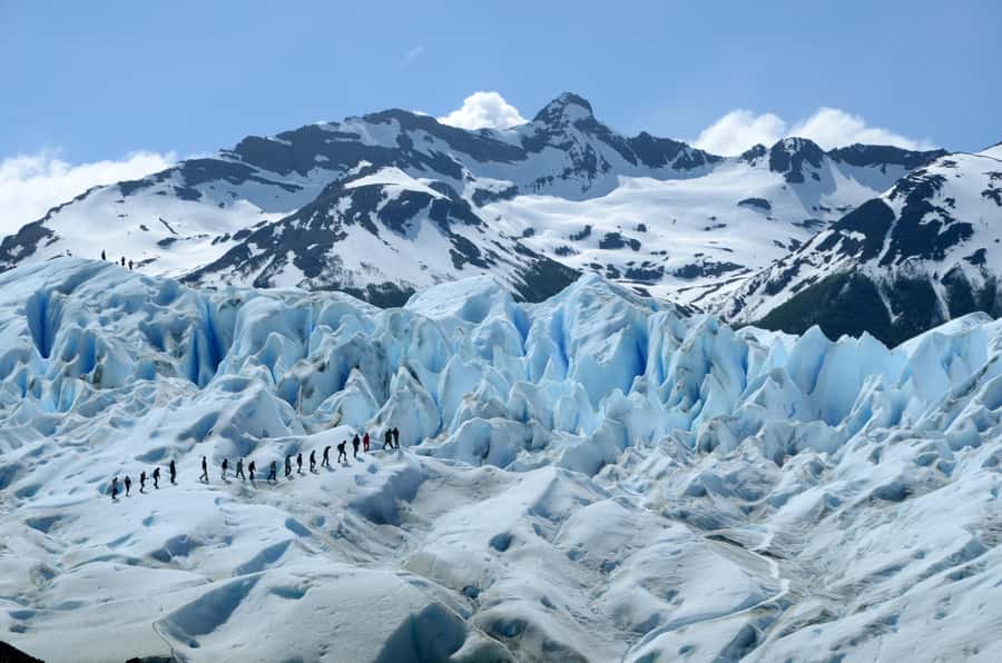 El Calafate: Perito Moreno Glacier Trekking Tour and Cruise - Through Magellanic Forest to Lunch