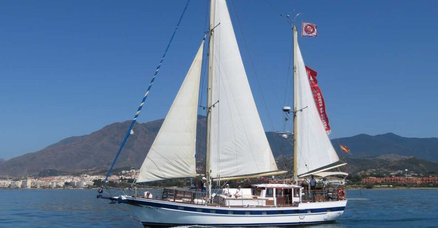 Estepona: Dolphin Watching Sailboat Cruise with Drink - Leaving Puerto de Estepona on the Intrépido