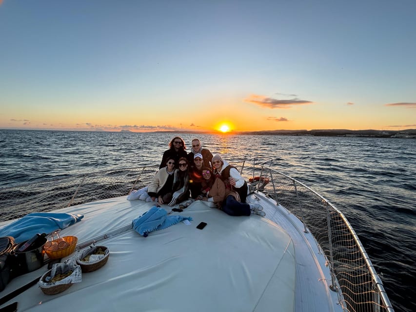 Estepona: Dolphins Searching Sea Cruise with Drink & Snacks - Searching for dolphins in open water