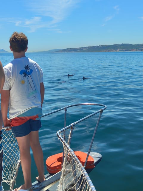 Estepona: Dolphins Searching Sea Cruise with Drink & Snacks - Who will enjoy this most
