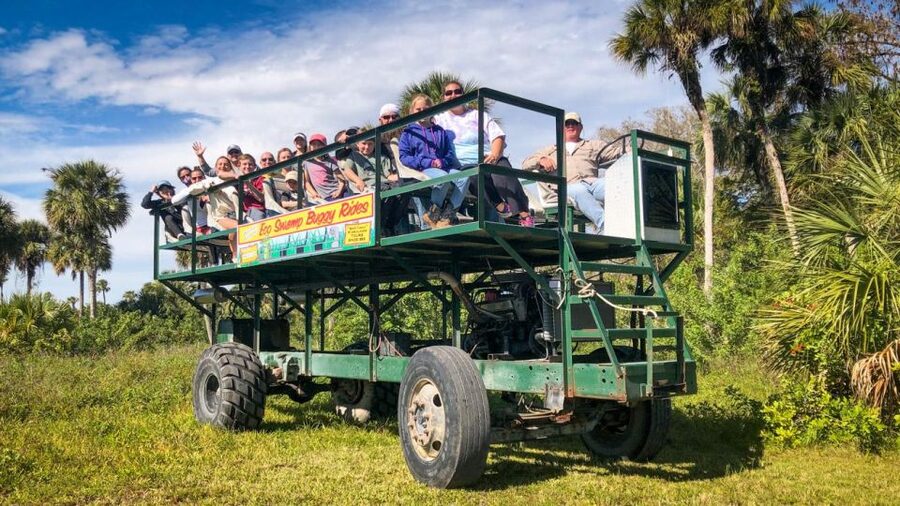 Everglades: Mangrove Maze Airboat Tour and Boardwalk - Key things to know before you go