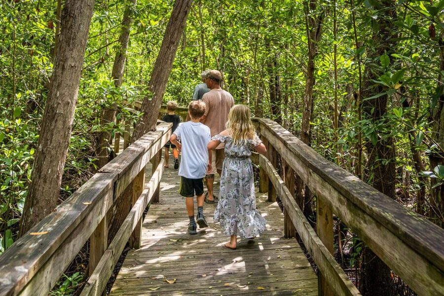 Everglades: Mangrove Maze Airboat Tour and Boardwalk - Why the guide can make or break the experience