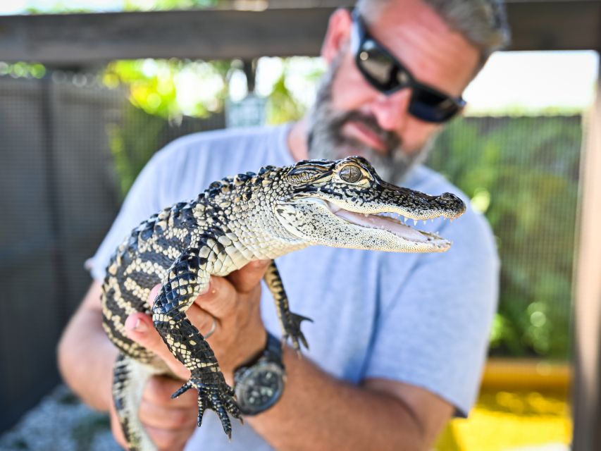 Everglades: Sawgrass Park Day Time Airboat Tour & Exhibits - Key points at a glance