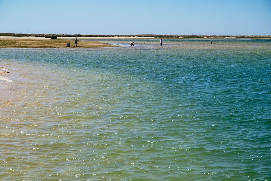 Faro: Deserta Island and Farol Island Catamaran Boat Trip - What the $47 Price Really Buys You