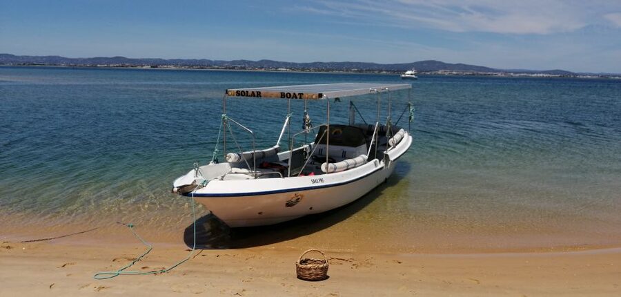 Faro: Eco-Friendly Ria Formosa Bird Watching in Solar Boat - The return ride and the value of two hours
