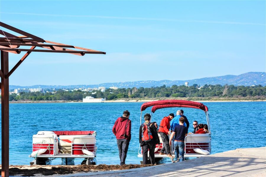 Faro: Ria Formosa Faro Islands Boat Tour - Quick points to know before you book