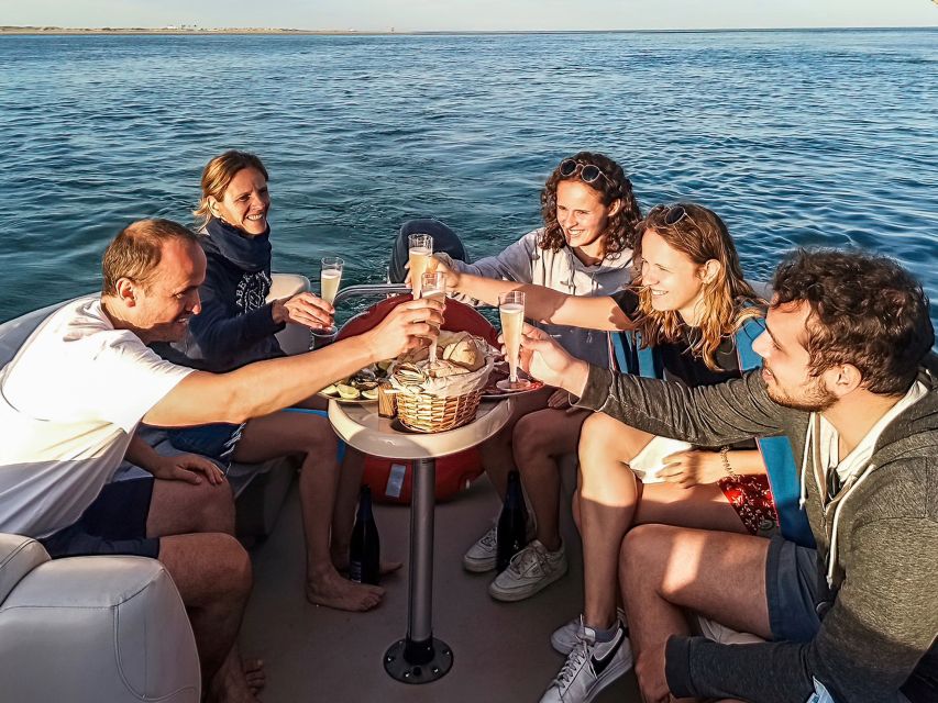 Faro: Ria Formosa Faro Islands Boat Tour - Should you book the Faro island boat tour?